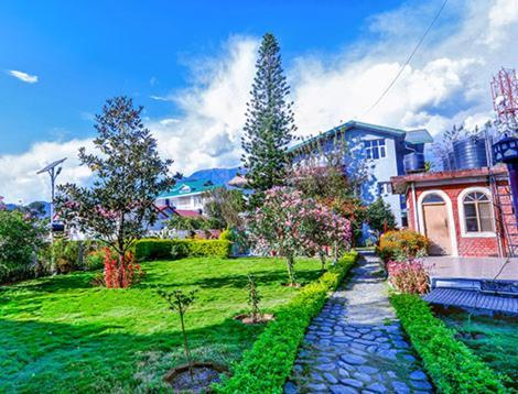 Hotel Starry Night Palampur Exterior photo